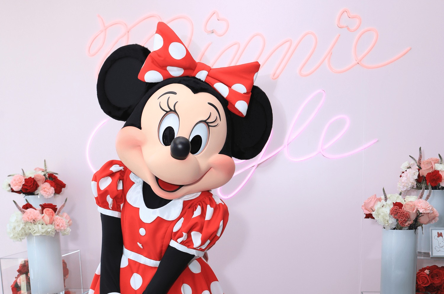 Caratulas de Minnie Mouse